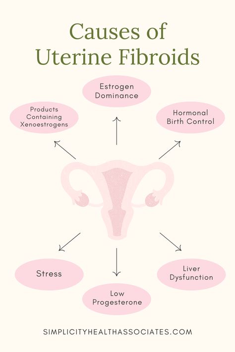 Fibroid Diet, Help Getting Pregnant, Fibroid Uterus, Fibroid Tumors, Low Estrogen Symptoms, Hormonal Birth Control, Too Much Estrogen, Low Estrogen, Natural Alternatives