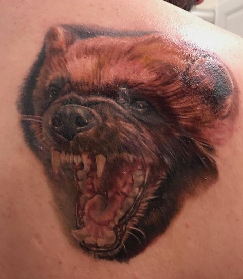 Legacy Tattoo, Wolverine Tattoo, Wolverine Animal, Michigan Go Blue, Go Blue, Animal Tattoos, New Design, Cool Tattoos, Design Ideas