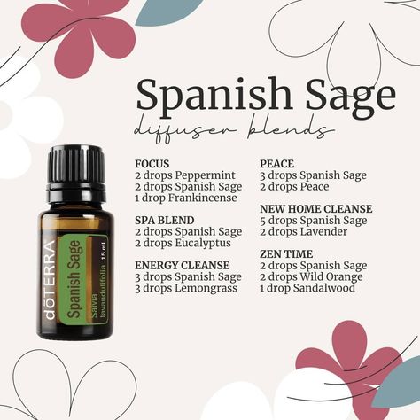 Spanish Sage Essential Oil, Doterra Spanish Sage Diffuser Blends, Spanish Sage Diffuser Blends, Spanish Sage Doterra, Sage Diffuser Blends, Diffuser Oils, Doterra Diffuser, Doterra Oil, Doterra Diffuser Blends