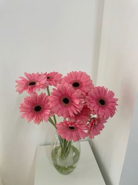 Giving Flowers, Luxury Flower Bouquets, Vintage Flowers Wallpaper, Nothing But Flowers, Fresh Flowers Arrangements, Flower Therapy, Gerbera Daisy, Beautiful Bouquet Of Flowers, Love Flowers