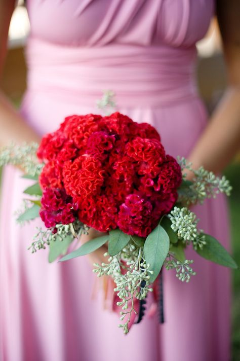 Celosia Flower, Winter Wedding Bouquet, Bridesmaids Bouquet, Red Bouquet, Boda Mexicana, Refined Wedding, Special Flowers, Velvet Flowers, Wedding Cakes With Flowers