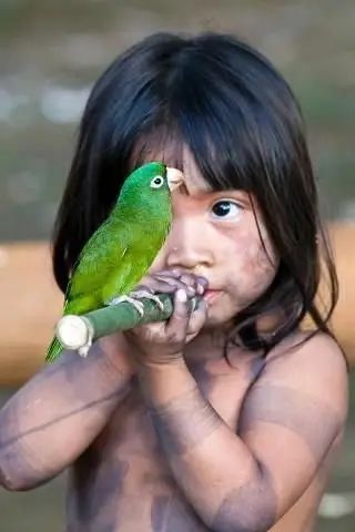 46 Sights of the Amazon Rainforest to Make You Go Ooh Frog Species, River Dolphin, Amazon Forest, Amazon River, Gorgeous Scenery, African Grey, Catching Fish, Amazon Rainforest, Tree Frogs