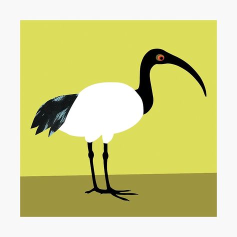 Ibis Illustration, Piece Of Paper, Tail Feathers, Society6 Art, Artwork Prints, The Amazing, Printing Process, Photographic Print, Feathers