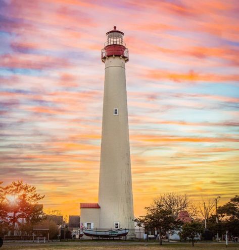 Cape May Lighthouse, Barnegat Lighthouse, Tiny Shells, Lighthouse Tattoo, Lighthouse Pictures, Patchwork Sleeve, Beautiful Lighthouse, Old Fort, Field Trips