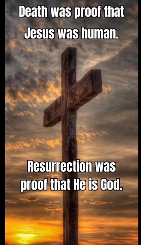 Happy Resurrection Day, John 11 25, Happy Resurrection, Plan Quotes, Nick Vujicic, Resurrection Day, Resurrection Sunday, Jesus Said, Christian Quotes Prayer