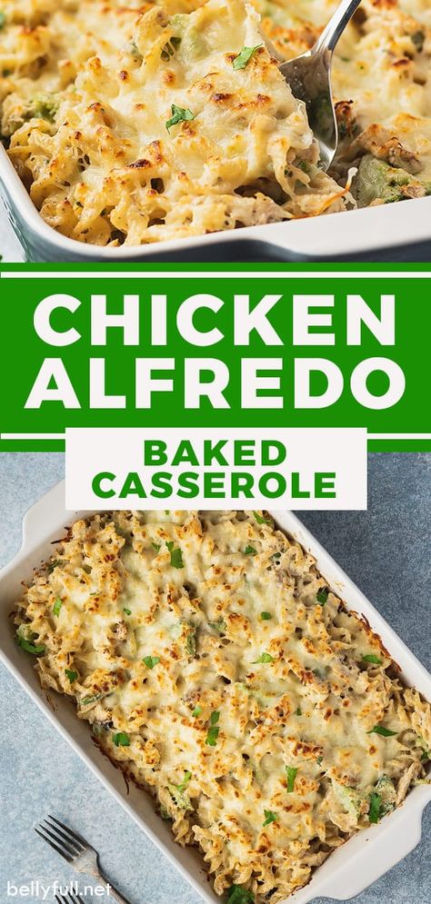 Chicken Broccoli Alfredo Pasta, Alfredo Bake Recipe, Chicken Alfredo Bake Recipe, Fetuccini Alfredo, Broccoli Alfredo Pasta, Homemade Chicken Alfredo, Baked Chicken Casserole, Alfredo Casserole, Chicken Alfredo Casserole