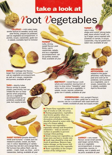 Root Recipes, Rooted Vegetables, How To Grow Root Vegetables, Root Vegetable, Root Vegetables List, List Of Root Vegetables, Shallow Root Vegetables, Root Vegetable Recipes, Root Crops Vegetables