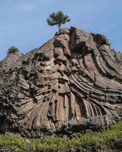 Geology for Beginners on Instagram: "RaDiaTinG BaSaLT CoLuMnS 😍♥️⚒ Pino Hachado, Neuquen, Argentina 🇦🇷 Description: Columnar jointing is a geological structure where sets of intersecting closely spaced fractures, referred to as joints, result in the formation of a regular array of polygonal prisms, or columns. Columnar jointing occurs in many types of igneous rocks and forms as the rock cools and contracts. Columnar jointing can occur in cooling lava flows and ashflow tuffs (ignimbrites), a Basalt Columns, Patagonia Argentina, Lava Flow, Mountain Art, Natural Phenomena, World Of Color, Geology, Mount Rushmore, Natural Landmarks