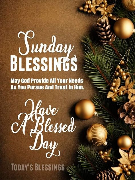 Happy Sunday Messages, December Wishes, Good Morning Happy Weekend, Weekly Blessings, A Blessed Sunday, Good Morning Christmas, Sunday Messages, God Blessings, Have A Blessed Sunday