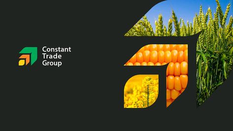 30 Best Agriculture Logo Design Ideas You Should Check Agriculture Logo Design, Letter D Crafts, Agriculture Design, Plant Logo, Agriculture Logo, Logo Branding Design, Corn Plant, Logo Design Ideas, Graphic Design Lessons