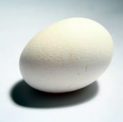 Salvation Object Lesson (Acts 3:19) Hard Boiled Egg - Ministry-To-Children Salvation Object Lesson, Acts 3 19, Sunday School Object Lessons, Easter Lessons, Bible Object Lessons, Childrens Sermons, Hard Boiled Egg, Sunday School Kids, Sunday School Activities