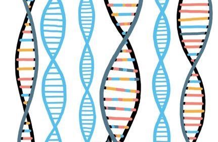 Different types of inheritance pattern Genetic Inheritance, Dna Sequence, Human Genome, Cell Division, Genetic, In Nature, Different Types, Division, Disease