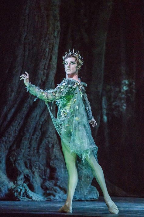 Steven Mcrae, Dream Costume, Birthday Aesthetic, Dream Outfits, Theatre Costumes, Royal Ballet, Midsummer Nights Dream, Ballet Costumes, Male Form