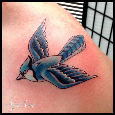 Custom traditional bluejay by Aja Ann Traditional Bluejay Tattoo, Blue Jay Traditional Tattoo, Jaybird Tattoo, Bluejay Tattoo, Blue Jay Tattoo, Jay Tattoo, Bluebird Tattoo, Ace Tattoo, Temple Tattoo