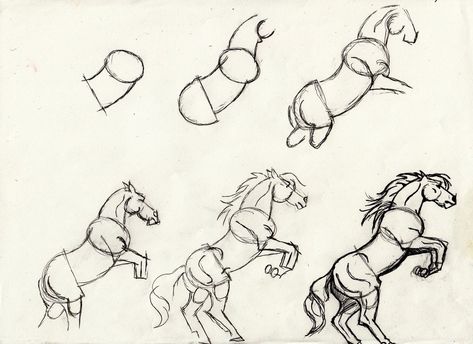 horse rearing tutorial by DalmaJones on deviantART Cute Animal Drawing Ideas, Horses To Draw, Draw A Horse, Animal Drawing Ideas, Horse Rearing, Human Sketch, Girl Drawing Easy, Deer Drawing, Animal Sketch