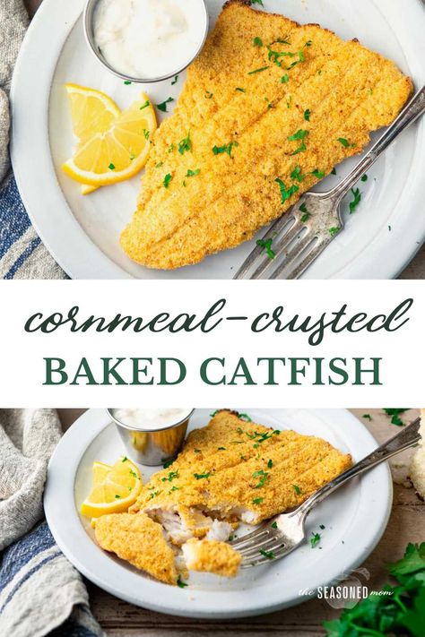 Classic Southern fried catfish gets a lighter, healthier, and easier makeover with this cornmeal-crusted baked catfish! It's crispy on the outside, tender and flaky on the inside, and perfect alongside cornbread, collard greens, coleslaw, and biscuits. Breaded Baked Fish, Baked Catfish Recipes, Cornmeal Bread, Baked Catfish, Oven Fried Fish, Southern Fried Catfish, Catfish Recipes, Baked Fish Recipes, The Seasoned Mom