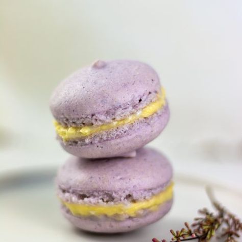 Low Carb Macaroons, Low Calorie Macarons, Keto Macarons Recipe, Sugar Free Macarons, Sugar Free Macaron Recipe, Keto Macarons, Keto Macaroons, Buttercream Ganache, Sandwich Cookies Filling