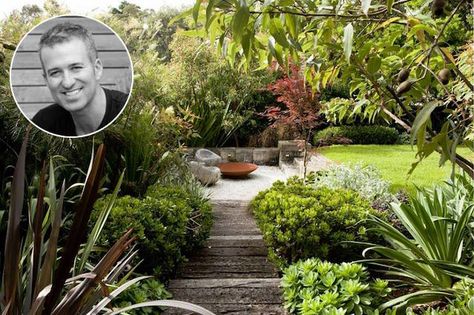 Peter Fudge's top plants to screen out your neighbours - Eco Outdoor Peter Fudge, Sustainable Garden Design, Contemporary Landscape Design, Cedar Raised Garden Beds, Contemporary Garden Design, Australian Garden, Trends Magazine, Garden Shrubs, Fence Landscaping