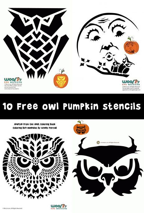 Owl Pumpkin Carving Stencils | Woo! Jr. Kids Activities Owl Pumpkin Stencil, Pumkin Carving Stencils, Halloween Suncatchers, Free Printable Pumpkin Carving Stencils, Owl Pumpkin Carving, Disney Pumpkin Carving Templates, Fall Stencils, Sugar Skull Stencil, Elegant Crafts