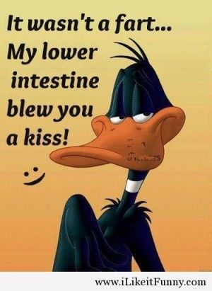 Cartoon Quotes Life Lessons, Daffy Duck Quotes, Duck Quotes, Quotes Life Lessons, Inspirational Good Morning Messages, Humorous Quotes, Elmer Fudd, Funny Puns Jokes, Funny Cartoons Jokes