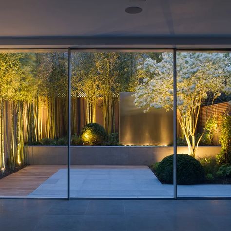 Zen - Contemporary - Garden - Phoenix - by BERGHOFF DESIGN GROUP | Houzz UK Modern Garden Lighting, Small Courtyard Gardens, Courtyard Gardens Design, Asian Garden, Small Courtyards, Backyard Lighting, Contemporary Garden, Small Yard, Garden Landscape Design