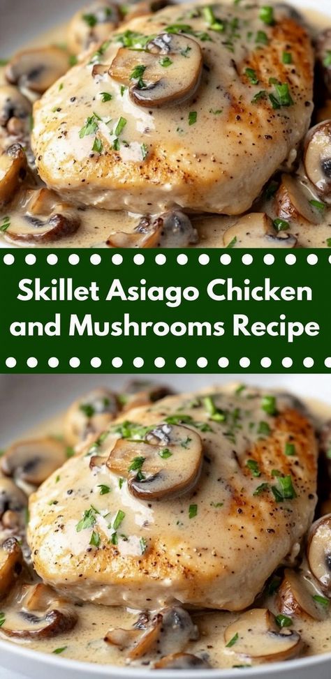 Looking for a speedy dinner fix? Try making Skillet Asiago Chicken and Mushrooms. This delicious dish brings together juicy chicken and savory mushrooms for a comforting meal that’s sure to please everyone. Fresh Dinner Ideas, Slow Cooker Venison, Asiago Chicken, Chicken With Mushrooms, Chicken And Mushrooms, Chicken And Mushroom, Chicken Skillet Recipes, Mushroom Dish, Chicken Breast Seasoning