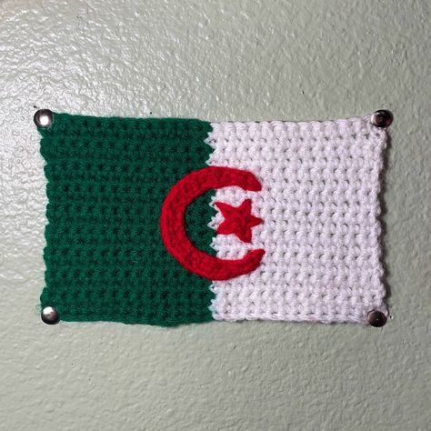 Flag of Algeria 🇩🇿 # 3/195 🫶🏼🌙 - - - #crochet #algeria #الجزائر #flag #tapestry Flag, Tapestry, Crochet, Quick Saves