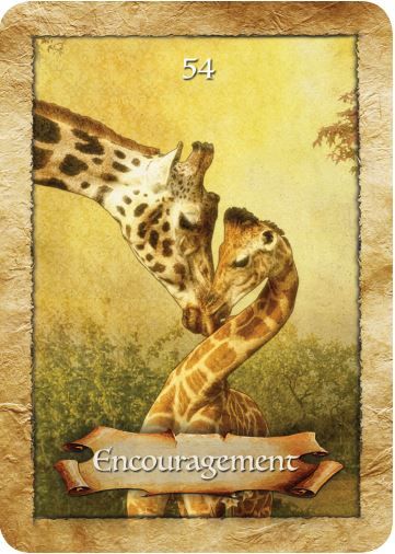 Encouragement ~ The Enchanted Map Oracle Cards by Colette Baron-Reid Astrology Spirituality, Daily Tarot Reading, Angel Tarot Cards, Angel Oracle Cards, Tarot Spread, Oracle Tarot, Daily Tarot, Free Greeting Cards, Angel Cards