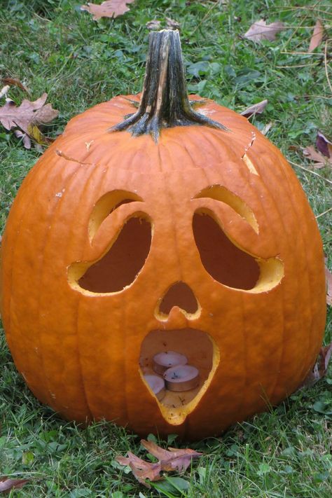 Pumk8n Ideas, Pumpkin Carves Ideas, Pumpkin Carving Ideas Easy Creative Kids, Cute Halloween Carving Ideas, Pumpkins Ideas Carving, Cool But Easy Pumpkin Carvings, Pumpkin Carving Ideas For Long Pumpkins, Flat Pumpkin Carving Ideas, Halloween Pumpkins Carvings Scary