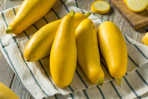 White Patty, Golden Zucchini, Sweet Dumpling Squash, Yellow Crookneck Squash, Squash Types, Crookneck Squash, Growing Squash, Buttercup Squash, Squash Bugs