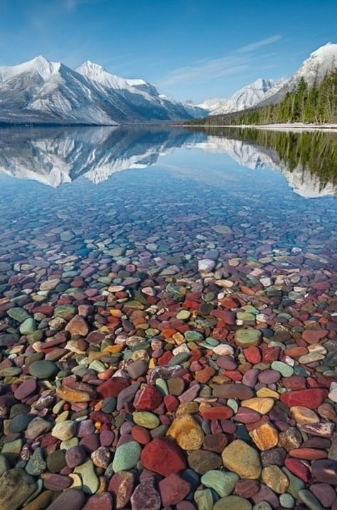 Lake McDonald, Montana Lake Mcdonald Montana, Magic Places, Lake Mcdonald, Glacier National, Future Travel, Alam Semula Jadi, Glacier National Park, Island Life, Pretty Places