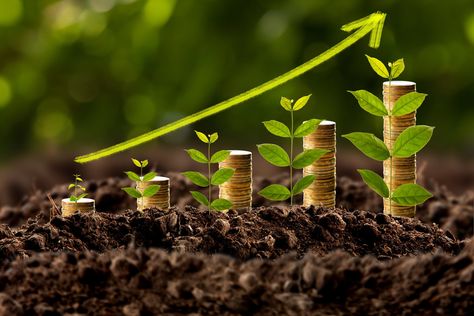 These proven dividend stocks are primed for bigger things ahead. Savings Calculator, Dividend Income, Crop Production, Trading Quotes, Dividend Stocks, Economic Times, Money Affirmations, Economic Development, Mellow Yellow