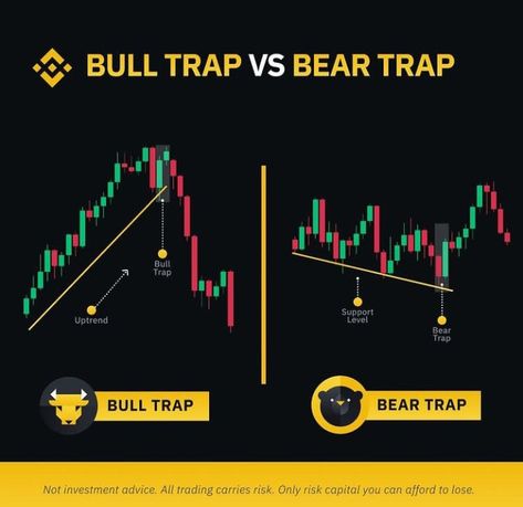 Bull Trap, Bear Trap, Investment Advice, Carry On, Music Instruments