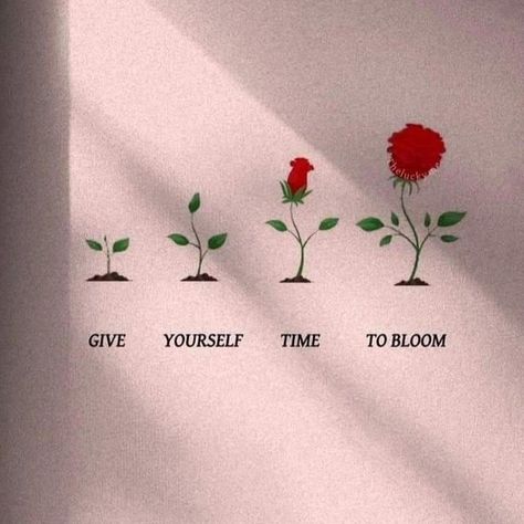 Give yourself Time to Bloom 🌺 #Motivation #Time Bloom Quotes Motivation, Give Yourself Time To Bloom, Desk Quotes, Bloom Quotes, Give Yourself Time, Folgers Coffee, Flower Quotes, Confidence Building, Blooming Flowers