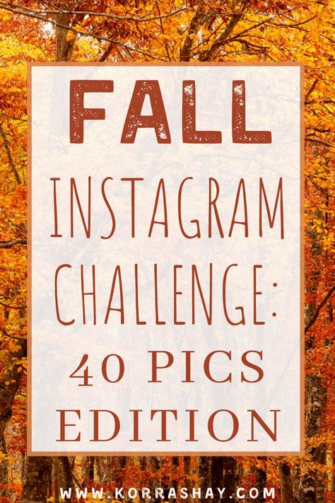 Fall Instagram challenge: 40 pics edition! Fall picture ideas! 40 pictures you should take this fall for the perfect fall instagram challenge. Fall photoshoot ideas that are so cute! #fall #fallpics #instagram #instagramideas #photoshoot Fall Photoshoot Challenge, Fall Instagram Photo Ideas, Fall Content Ideas For Instagram, Fall Instagram Pictures Ideas, Fall Picture Ideas For Instagram, November Photoshoot Ideas, Fall Photo Challenge, Fall Instagram Pictures, National Family Day