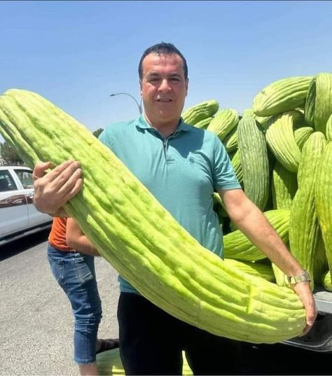 Giant Vegetable, Fruit World, Funky Fruit, Funny Vegetables, Happy Navratri Images, Fruit Picture, Navratri Images, Lord Ganesha Paintings, Flowery Wallpaper