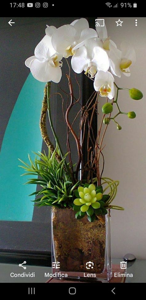 Orchids And Succulents, Silk Orchids Arrangements, Orchid Flower Arrangements, Modern Floral Arrangements, Tropical Floral Arrangements, Orchid Centerpieces, Corporate Flowers, Ikebana Flower Arrangement, Artificial Floral Arrangements