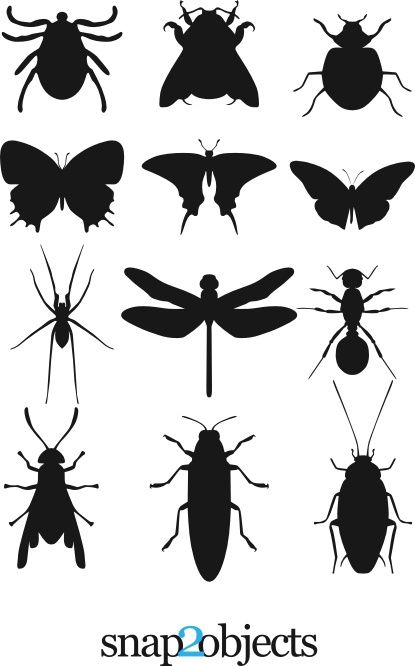 I am so afraid of bugs that I would rather have a famished crocodile in front of me than a cockroach. But when they come dissected as harmless vectors it is easier to cope! :) So, here are 12 Insec… Silhouette Template, Silhouette Stencil, Desenho Tattoo, Stencil Patterns, Animal Silhouette, Insect Art, Silhouette Portrait, Silhouette Free, Bugs And Insects