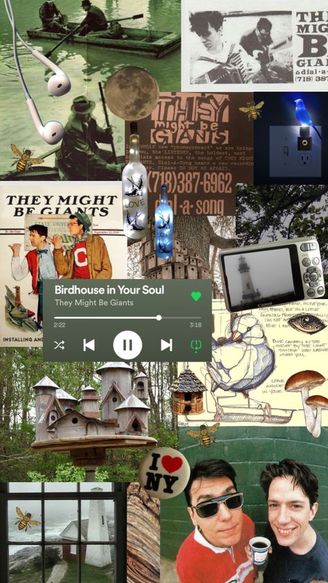 Tmbg Wallpaper, Birdhouse In Your Soul, Zoom Zoom, Im Sorry, I'm Sorry, Birdhouse, Getting Old, Your Soul, Cool Bands