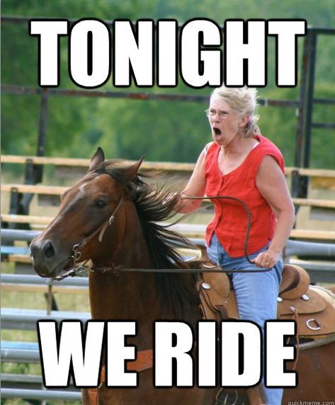 The Very Best Of The Grandma On Horse. .......she scares me.... would hate to meet her in battle:// At Dawn We Ride, Equestrian Memes, Funny Horse Memes, Horse Meme, Horse Memes, Horse Quotes Funny, Funny Horse Pictures, Horse Jokes, Funny Horses