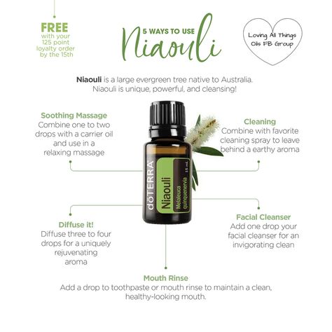 Niaouli Essential Oil, Doterra Oils Recipes, Mouth Rinse, Essential Oil Education, Health Cleanse, Essential Oil Blends Recipes, Respiratory Health, Naturopathy, Cleaning Spray