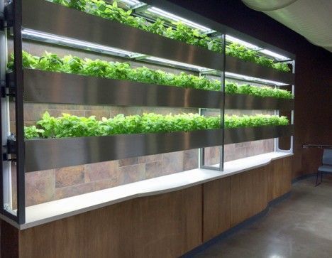 The Chef's Wall Garden makes growing edible plants easy.  The product was specifically designed to cater to restaurant and academic institut...: Hydroponics Design, Indoor Vertical Garden Wall, Living Wall Design, Commercial Aquaponics, Augustana College, Aeroponic System, Aquaponics Diy, Aquaponics Fish, Vertical Garden Indoor