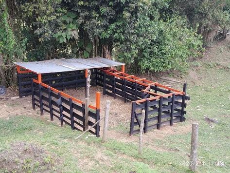 Dog Yard Fence, Cattle Facility, Como Plantar Pitaya, Poultry Farm Design, Green Wall Garden, Hog Farm, Goat Shed, Farm Hacks, Cattle Barn