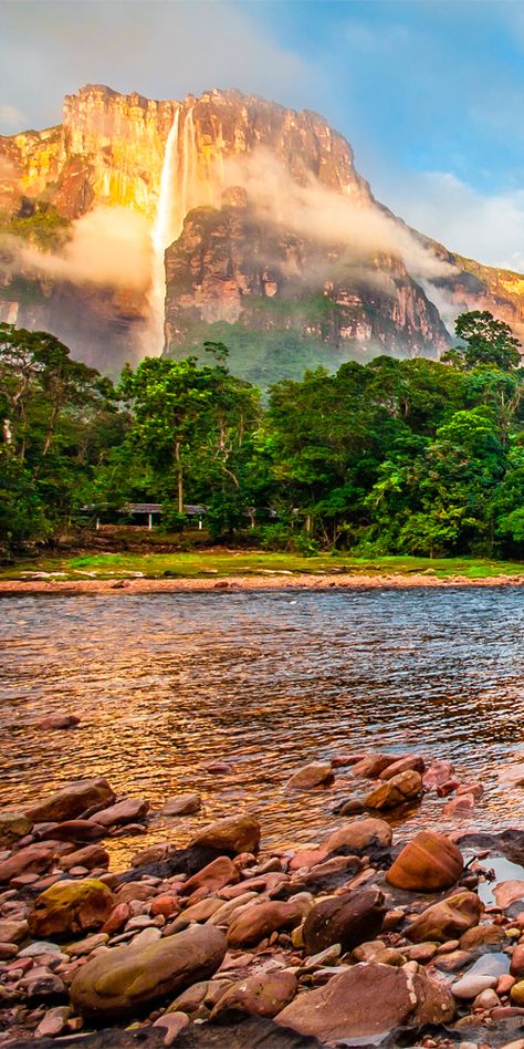 mi querido país venezuela Angel Falls Venezuela, Isla Margarita, Angel Falls, Ushuaia, Travel South, South America Travel, Beautiful Waterfalls, Fallen Angel, America Travel