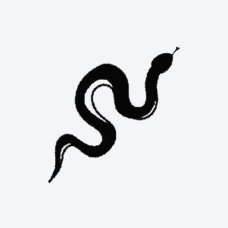 Snake Sillouhette, White And Black Snake, Snake Photography Black And White, Snake In The Grass, Small Snakes, Inkbox Tattoo, Tattoo Signs, Powerful Energy, Semi Permanent Tattoo