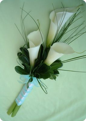 Minimalist cala lilly bouquet Lilly Bouquets, Calla Lillies Bouquet, White Calla Lily Bouquet, Lily Bridal Bouquet, Calla Lily Wedding, Calla Lily Bouquet, Spring Wedding Bouquet, Lily Bouquet, Lily Plants