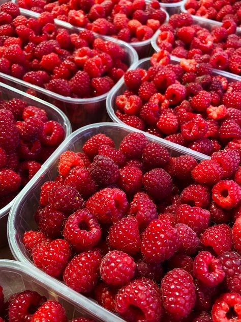 Aesthetic Raspberry, Raspberry Torte, Raspberry Fruit, Healthy Food Motivation, Think Food, Gin Tonic, Food Obsession, Pretty Food, Food Cravings