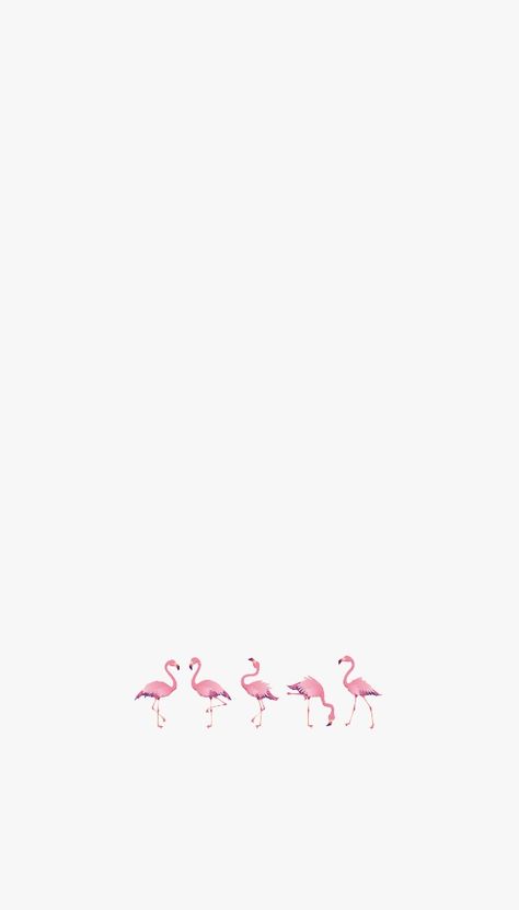 Flamingo Wallpaper Iphone, Iphone Phone Wallpapers, Pink Flamingo Wallpaper, Flamingo Wallpaper, Iphone Phone, Pink Flamingo, Pink Flamingos, Phone Wallpapers, Wallpaper Iphone