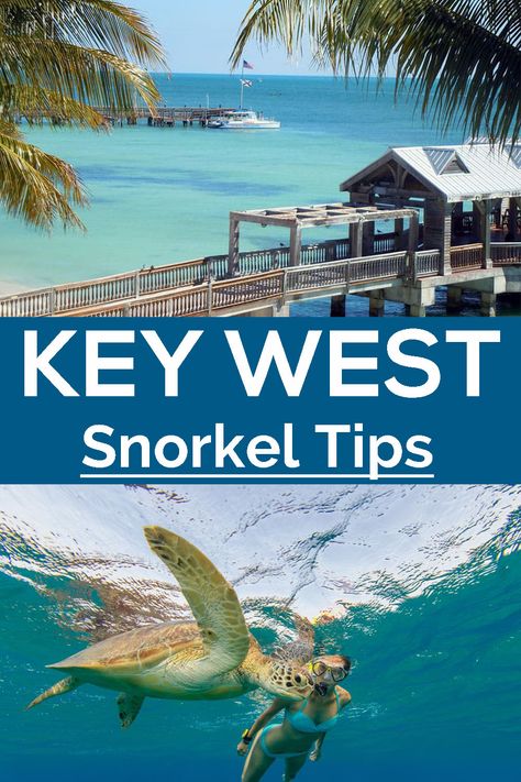 Tips & Tricks for Key West Snorkeling Key Largo Snorkeling, Key West Snorkeling, Key West Florida Vacation, Species Of Sharks, Dry Tortugas National Park, Hanauma Bay, Best Snorkeling, Key West Florida, Nature Trail