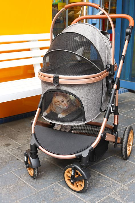 Cat Stroller Walks, Cat Stroller, Pet Travel Carrier, Pet Strollers, Pet Stroller, Travel Carrier, Cat Furniture Diy, Pet Bag, Pet Carriers